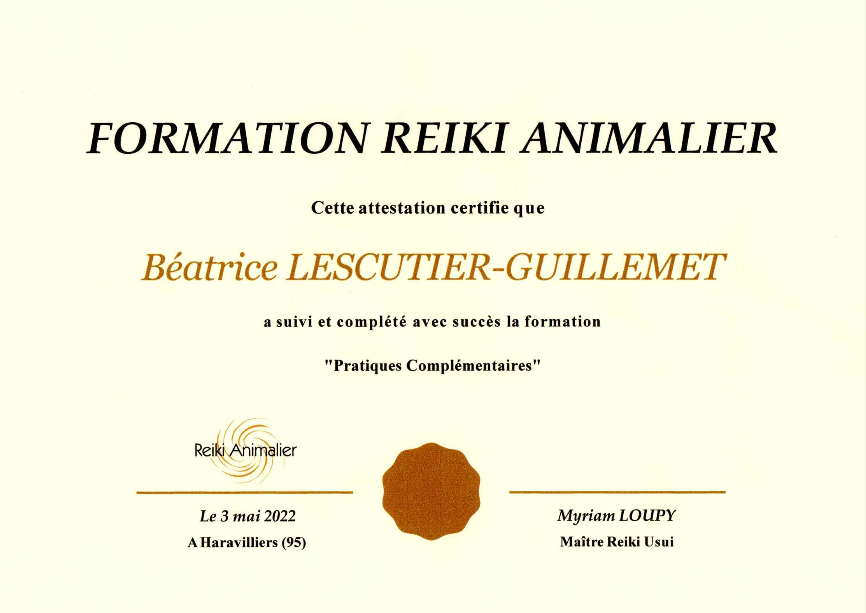 Diplôme 3